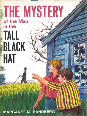 cover image of The Mystery of the Man in the Tall Black Hat